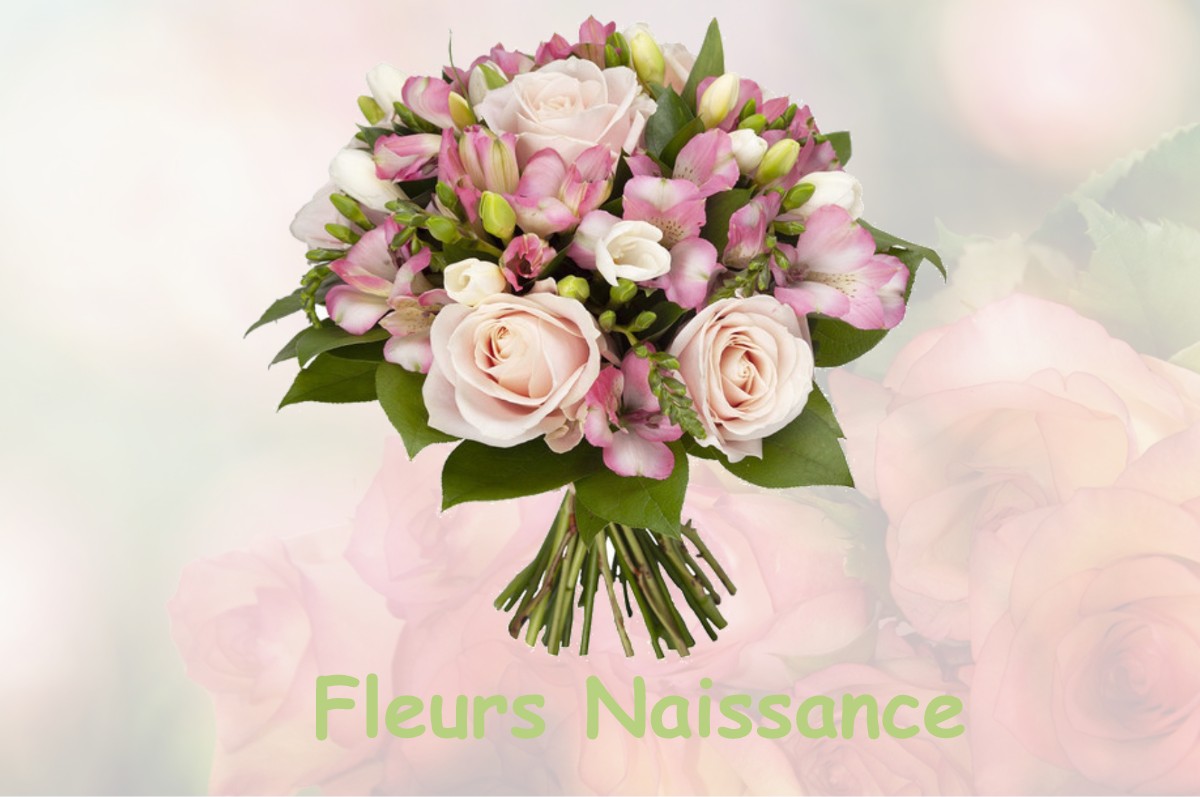 fleurs naissance ECHENANS-SOUS-MONT-VAUDOIS